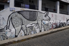 Sítio histórico de Olinda